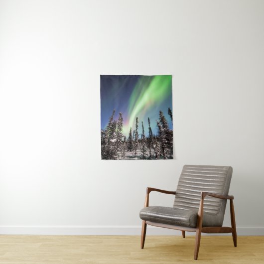 Northern Lights | Denaliの国立公園 タペストリー (インサイチュ)