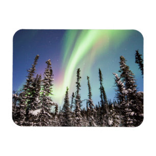 Northern Lights Denaliの国立公園 マグネット