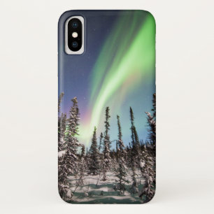 Northern Lights Denaliの国立公園 iPhone X ケース