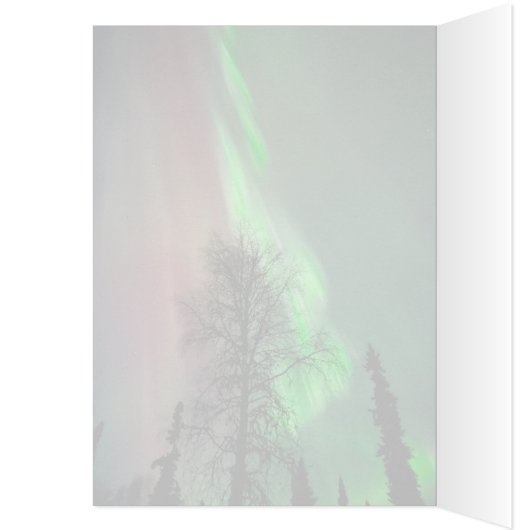 Northern Lights ll - 5" x 7"アートカード (内側 (左))