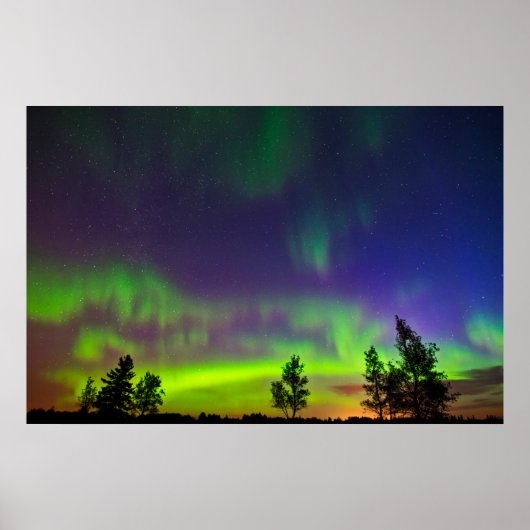 Northern Lights | Manitoba Canada ポスター (正面)