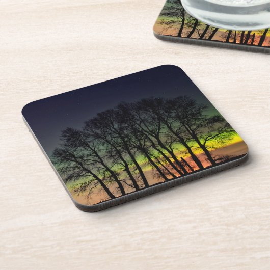 Northern Lights | Manitoba Canada Grande Pointe コースター (左側)