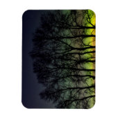 Northern Lights | Manitoba Canada Grande Pointe マグネット (縦)