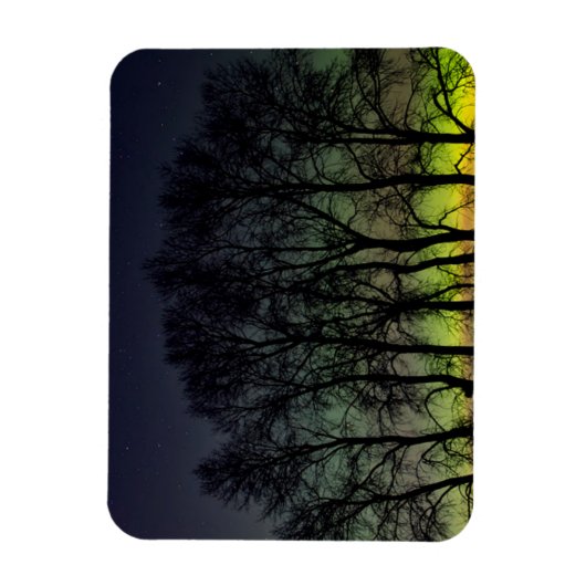 Northern Lights | Manitoba Canada Grande Pointe マグネット (縦)