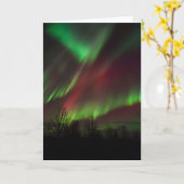 Northern Lights | Scandinavia, Iceland カード (黄色い花)