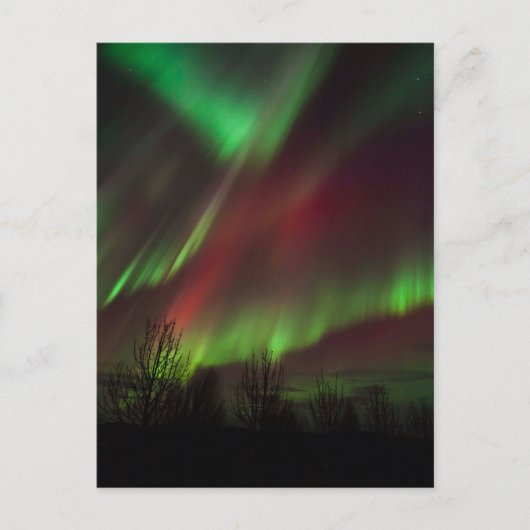 Northern Lights | Scandinavia, Iceland ポストカード (正面)