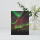 Northern Lights | Scandinavia, Iceland ポストカード (スタンド正面)