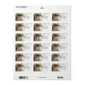 Northern Mockingbirdポートレートバードフォトアドレス ラベル (フルシート)