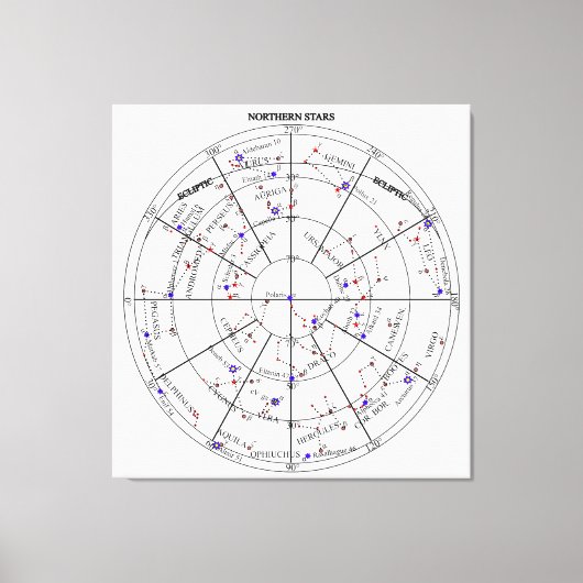 Northern North Stars Star Navigational Astronomy キャンバスプリント (正面)