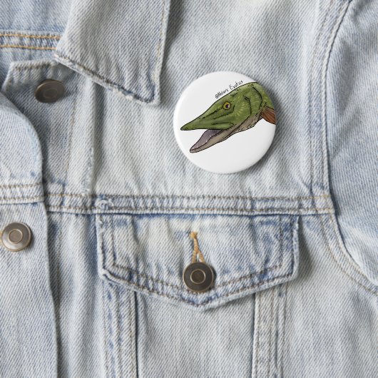 Northern Pike pin 缶バッジ (インサイチュ)