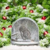 Northern Pygmy Owl (クリスマス)