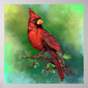 Northern Red(鳥)ショウジョウコウカンチョウバードポスター – 絵画s ポスター