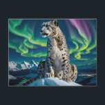 “Northern Sky Wanderer” – Snow Leopard Portrait シーズンポストカード<br><div class="desc">“Northern Sky Wanderer” – Snow Leopard Portrait. Against a sky streaked with dancing auroras, a snow leopard sits in quiet command atop a frozen summit. Though it belongs to southern mountains, here it becomes an otherworldly wanderer, impossibly at home in the shimmering night. The crisp air, glowing stars, and distant...</div>