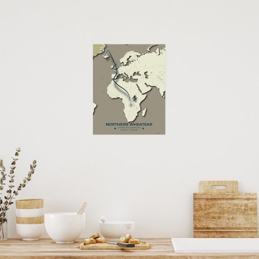 Northern Wheatear Migration Map – Minimalist ポスター (キッチン)