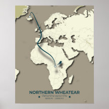Northern Wheatear Migration Map – Minimalist