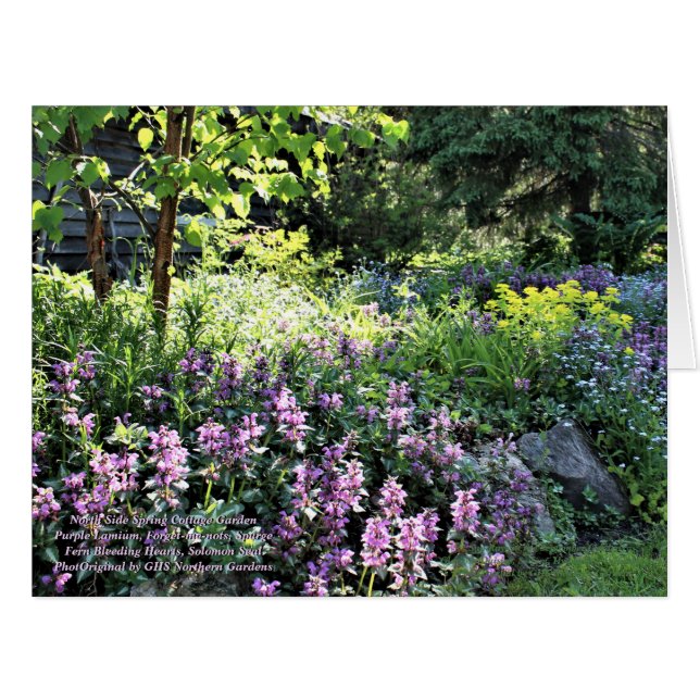 Northsideの春のコテージの石庭 (正面横)