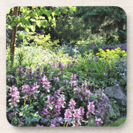 Northsideの春の庭 コースター