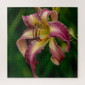 Northwind Daylily ジグソーパズル (縦)