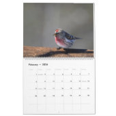 Northwoodsのカレンダーの鳥 カレンダー (2月 2026)