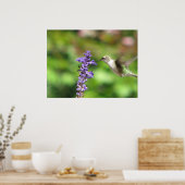 Northwoods Hummingbird Poster ポスター (キッチン)