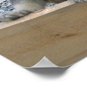 Norwegian Elkhound Puppies ポスター (角)