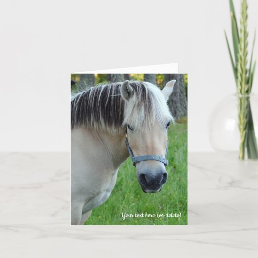 Norwegian Fjord Horse Greeting card サンキューカード (正面)