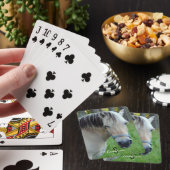Norwegian Fjord Horse Playing cards トランプ (インサイチュ)