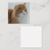 Norwegian_Forest_Cat エンクロージャーカード (正面/裏面)