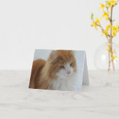 Norwegian_Forest_Cat カード (黄色い花)