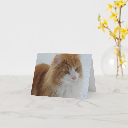Norwegian_Forest_Cat カード (黄色い花)