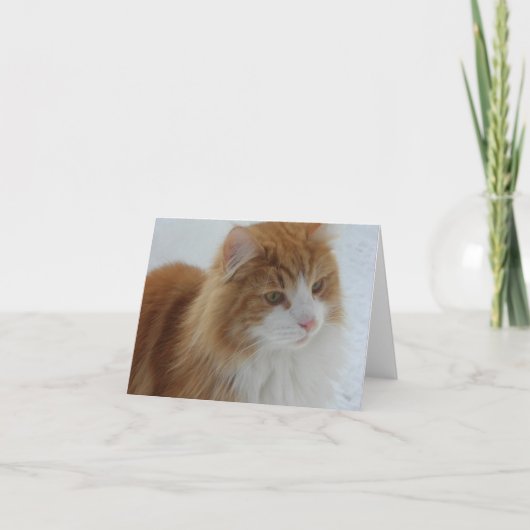 Norwegian_Forest_Cat カード (正面)