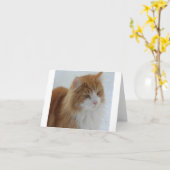 Norwegian_Forest_Cat カード (黄色い花)