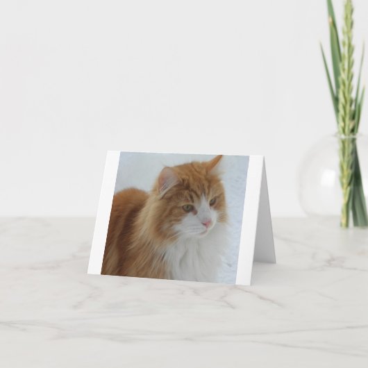 Norwegian_Forest_Cat カード (正面)