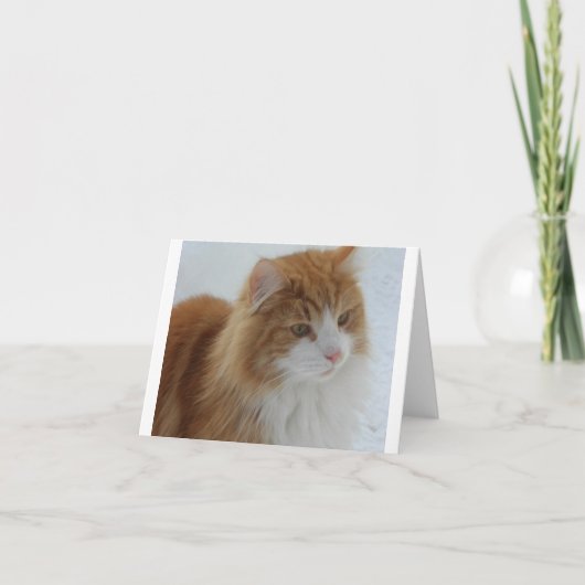 Norwegian_Forest_Cat シーズンカード (正面)