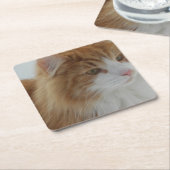 Norwegian_Forest_Cat スクエアペーパーコースター (アングル)