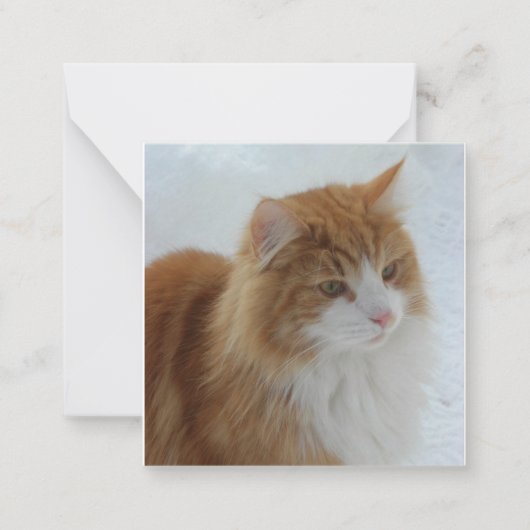 Norwegian_Forest_Cat ノートカード (正面)