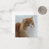 Norwegian_Forest_Cat ノートカード (正面/裏面インサイチュ)