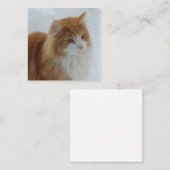 Norwegian_Forest_Cat ノートカード (正面/裏面)