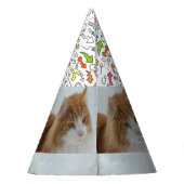 Norwegian_Forest_Cat パーティーハット (裏面)