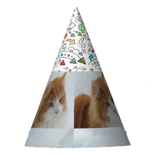 Norwegian_Forest_Cat パーティーハット (正面)
