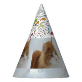 Norwegian_Forest_Cat パーティーハット (左)