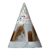 Norwegian_Forest_Cat パーティーハット (右)