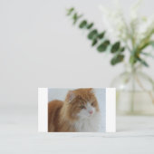 Norwegian_Forest_Cat プレイスカード (スタンド正面)