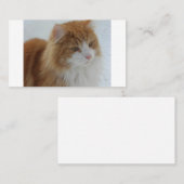 Norwegian_Forest_Cat プレイスカード (正面/裏面)