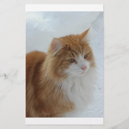 Norwegian_Forest_Cat 便箋 (正面)
