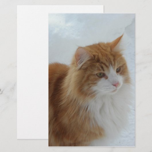 Norwegian_Forest_Cat 便箋 (正面/裏面)