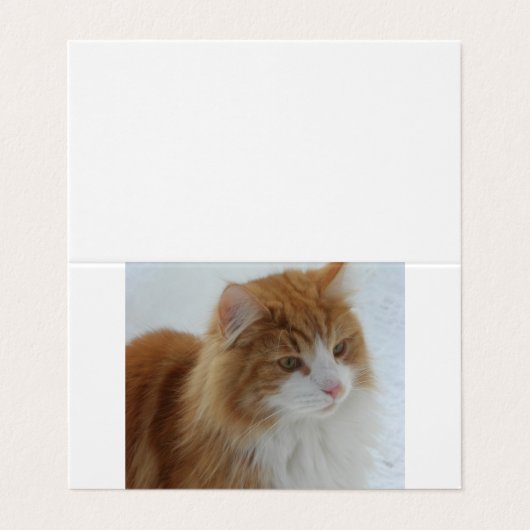 Norwegian_Forest_Cat 名刺 (外部フラット)