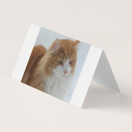 Norwegian_Forest_Cat 名刺 (正面)