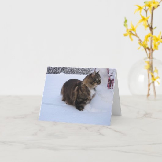 norwegian forest cat in snow カード (黄色い花)