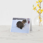 norwegian forest cat in snow カード (黄色い花)